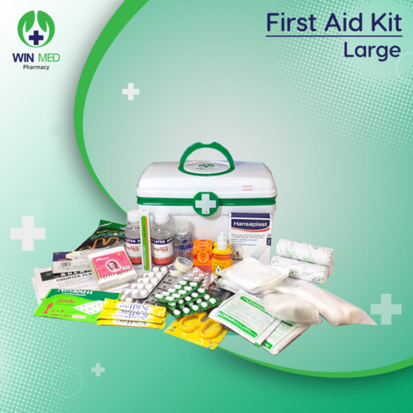First Aid Kit (Large)